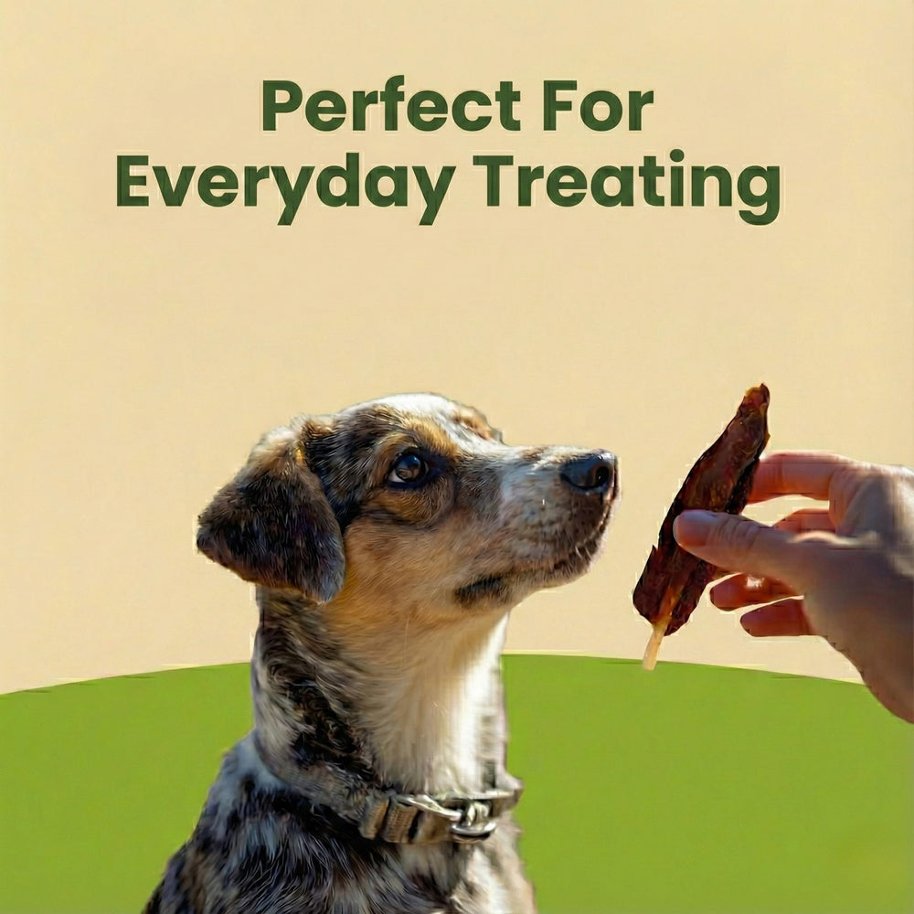 Pet 'n Shape Chik n Skewers convient chiot et chien adulte