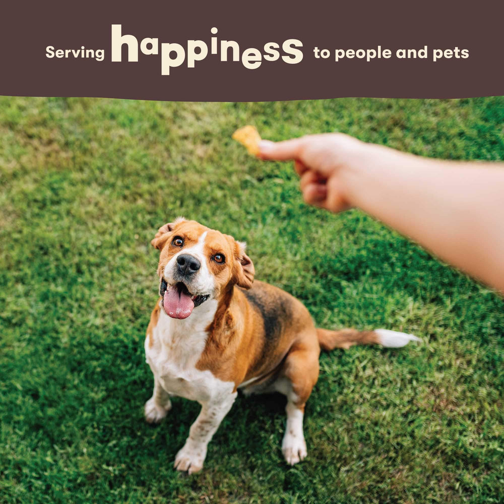 Tests de sécurité Pet 'n Shape: ingrédients vérifiés aux États-Unis.