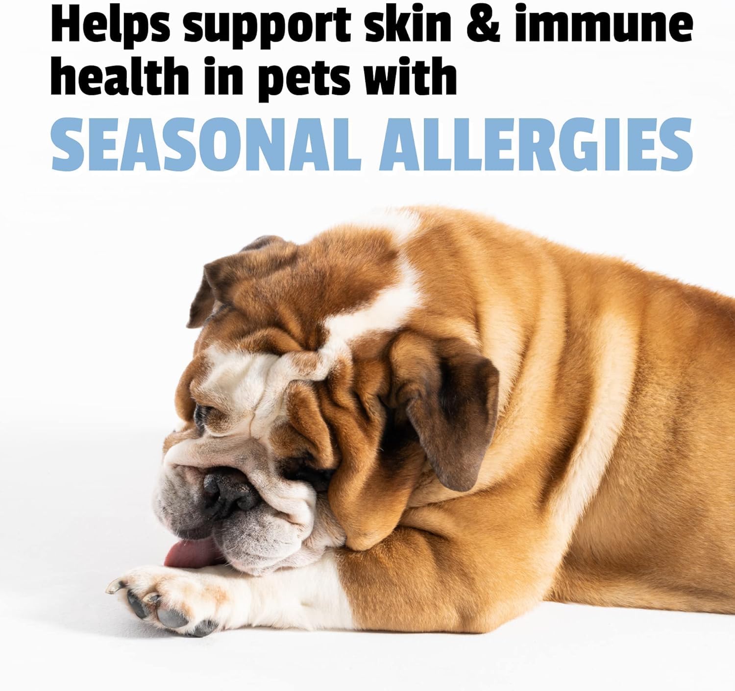 chien savourant une bouchée Pet Naturals Allergy Plus Calming
