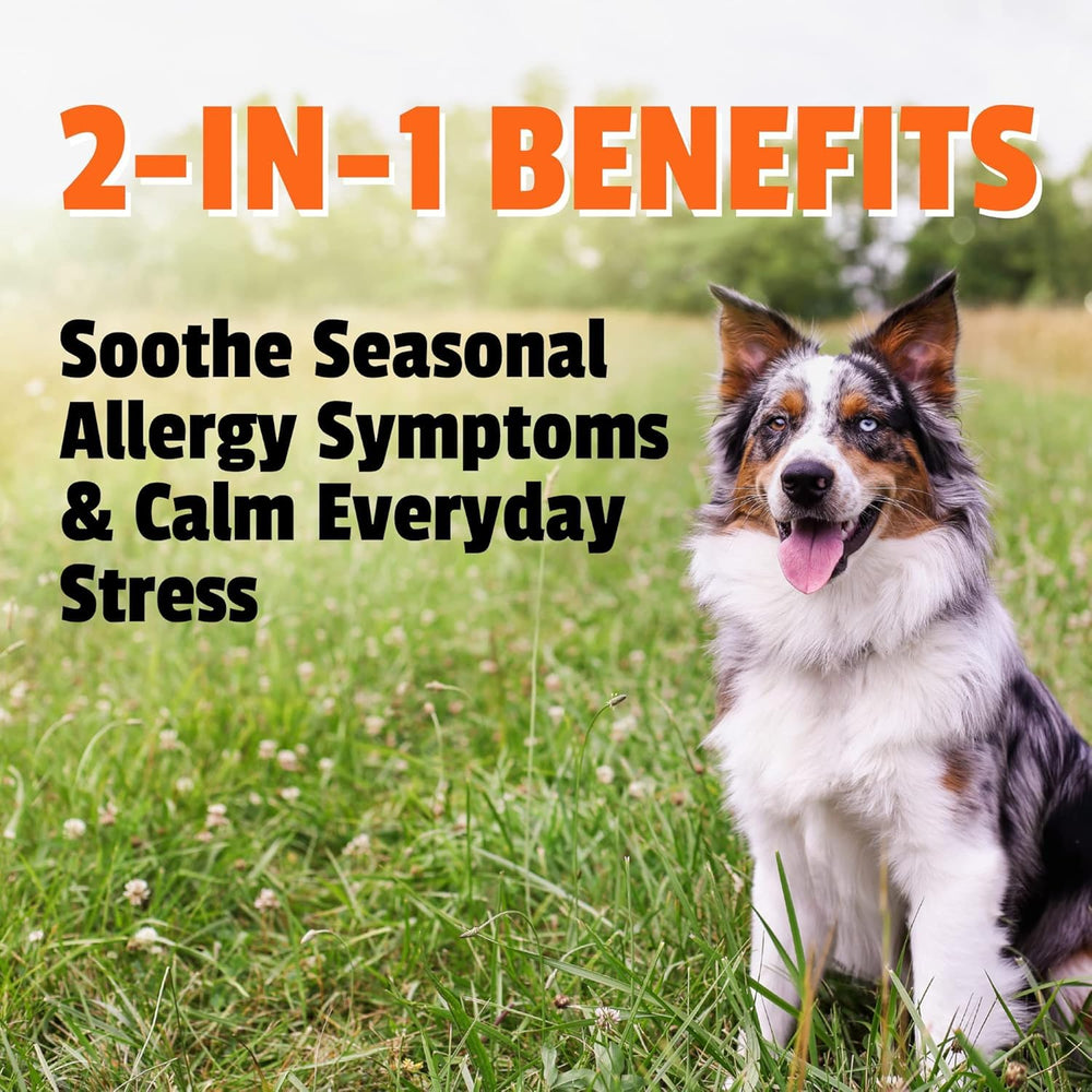 texture moelleuse des bouchées Pet Naturals Allergy Plus Calming