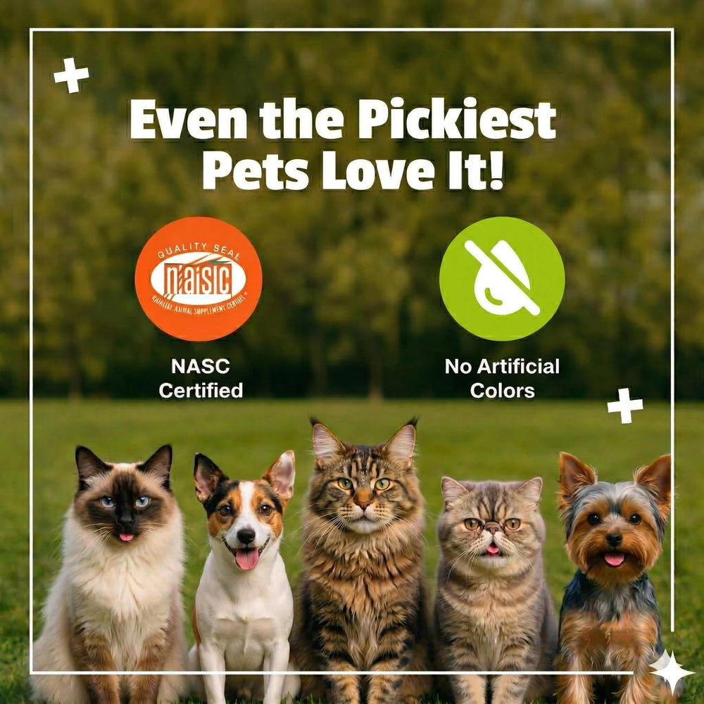  bouchée quotidienne Pet Naturals, routine simple pour le bien‑être du chat