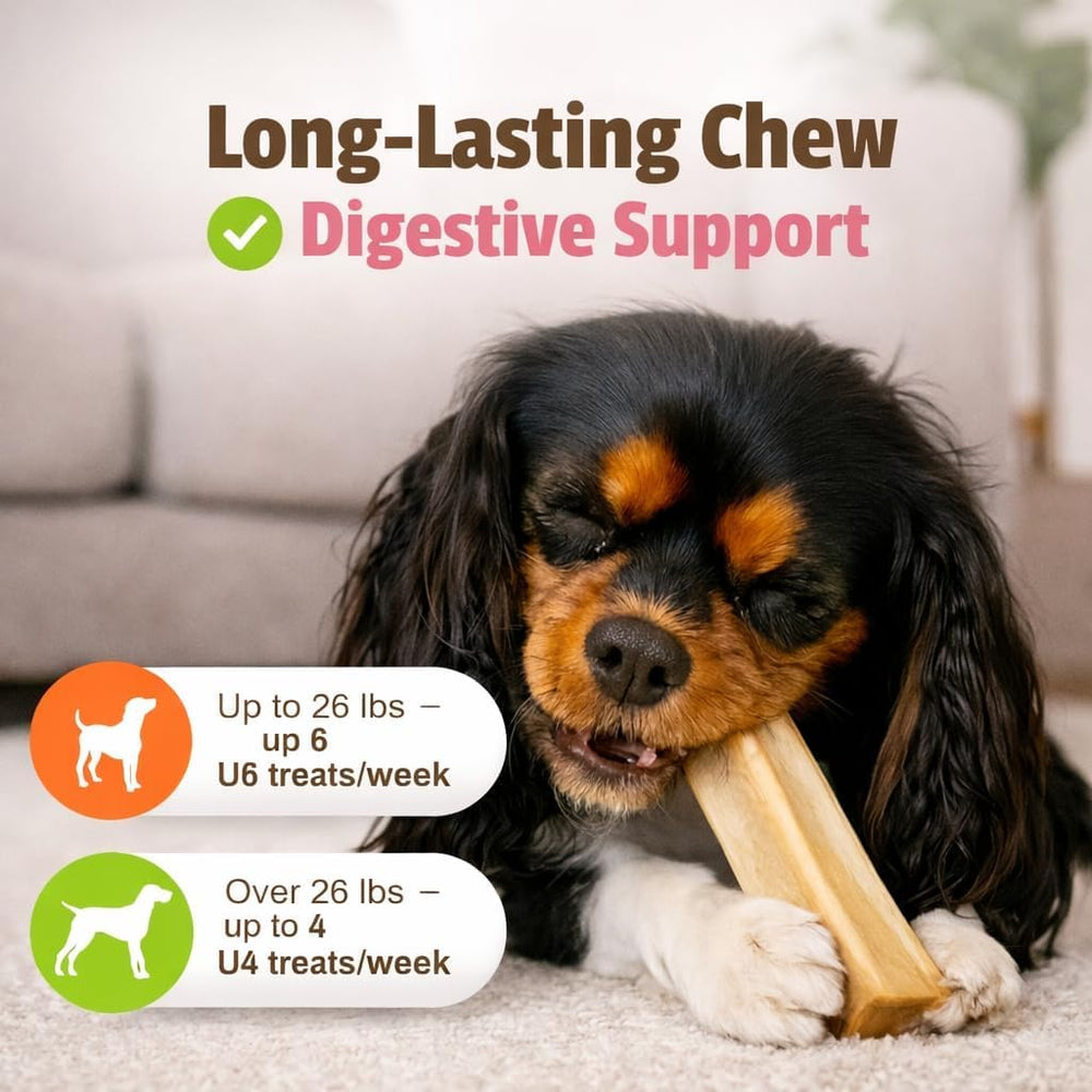 Goût naturel de beurre de cacahuète, plaisir quotidien pour chien