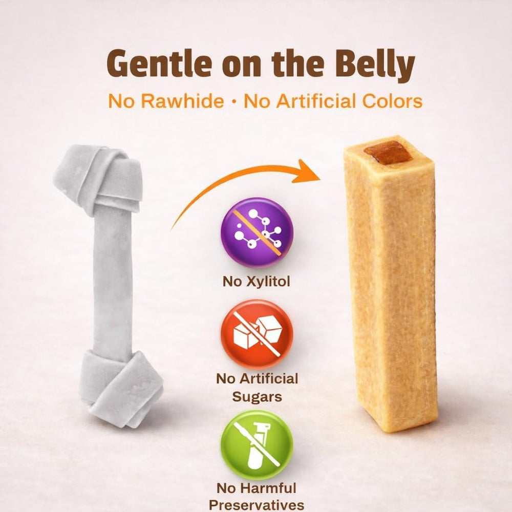 Enrichissement et distraction pour chiens actifs pendant les friandises.