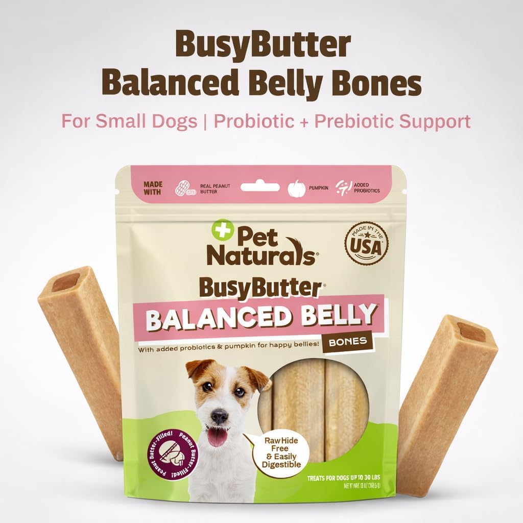 BusyButterProbiotiques GanedenBC30: soutien intestinal quotidien pour chien