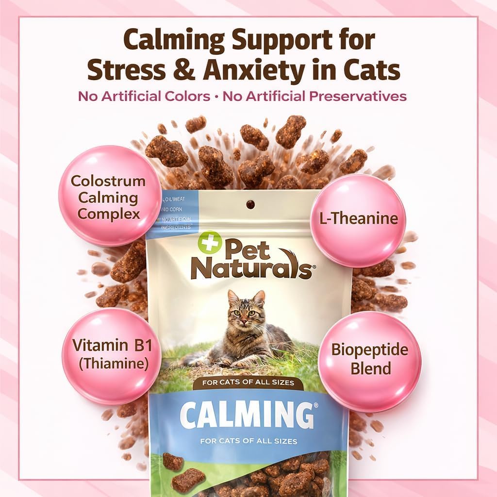 Chat détendu après une bouchée des friandises calmantes Pet Naturals.