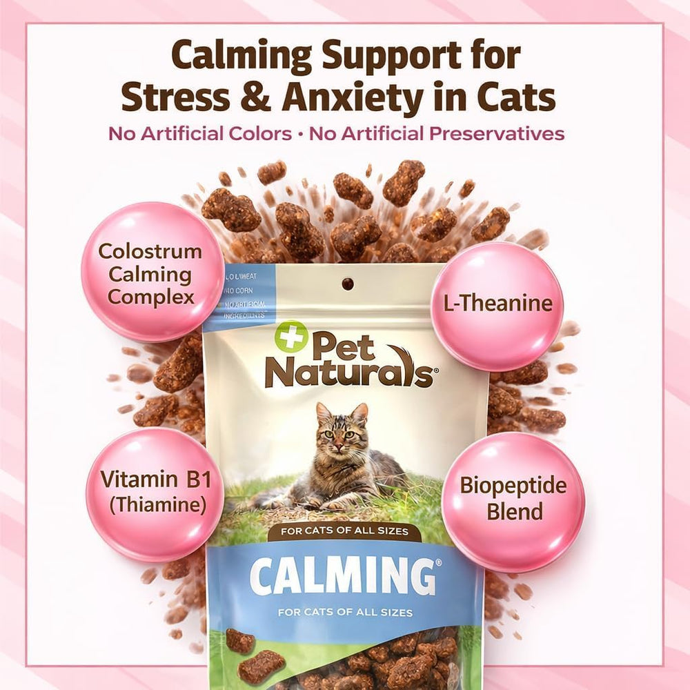 Chat détendu après une bouchée des friandises calmantes Pet Naturals.