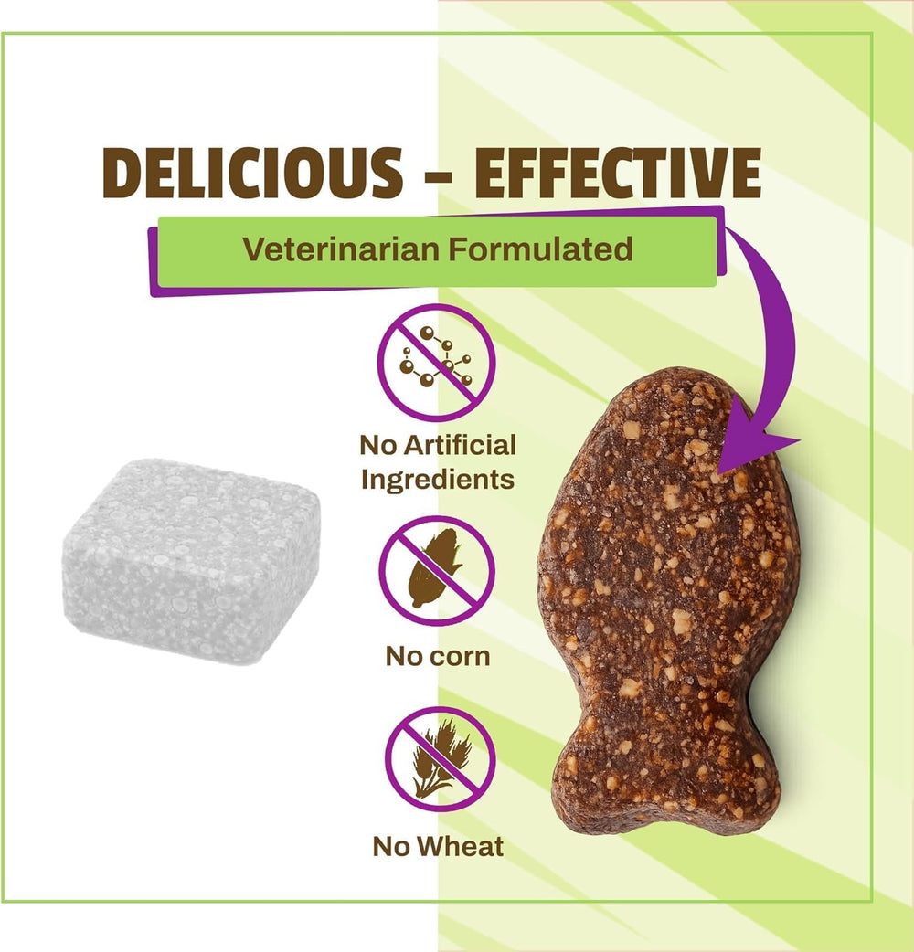 Chat en voyage utilisant les friandises calmantes Pet Naturals.
