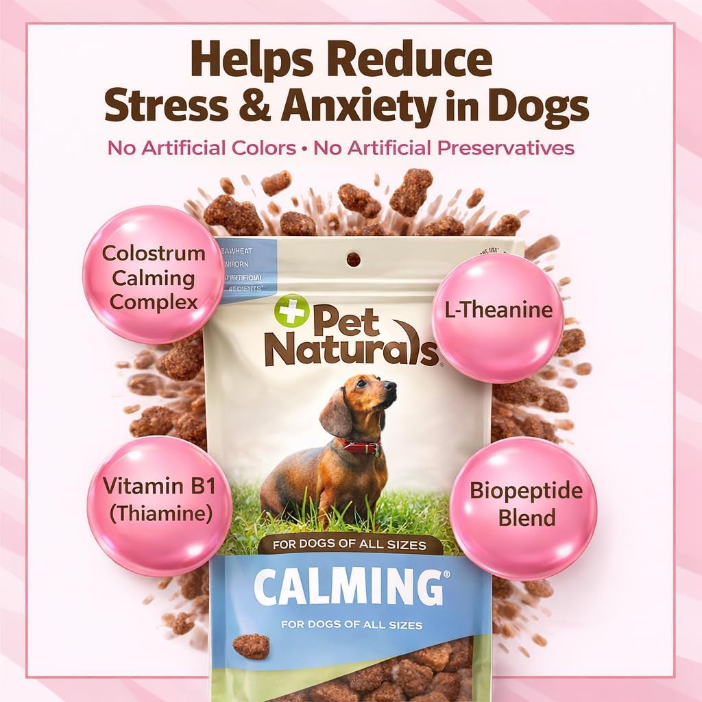 Chien détendu après jeu grâce aux friandises calmantes Pet Naturals.