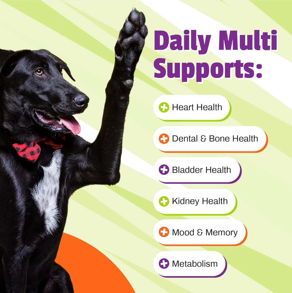 Gommes Pet Naturals Daily Multi, friandises savoureuses pour un apport nutritionnel quotidien.