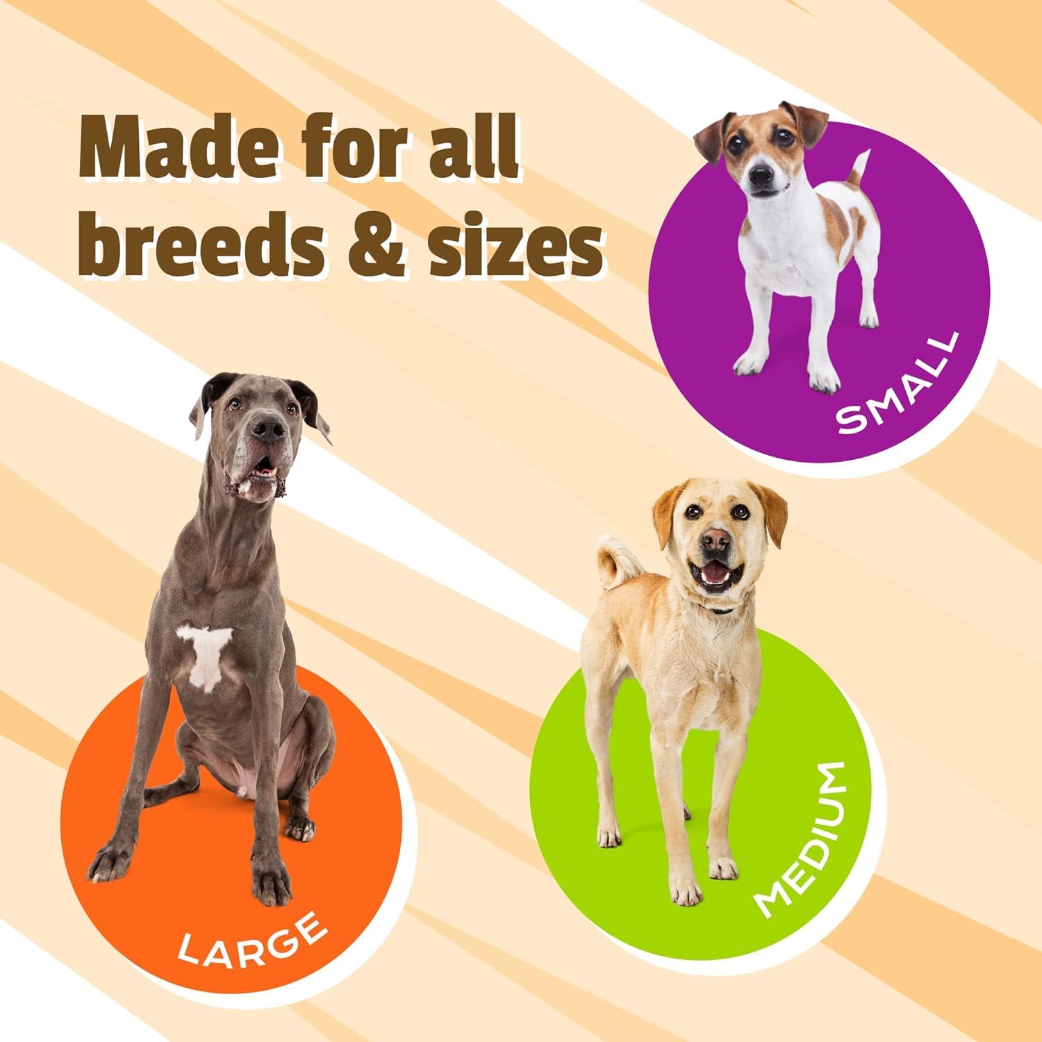 Pet Naturals Hip et Joint Pro – emballage américain et qualité assurée.