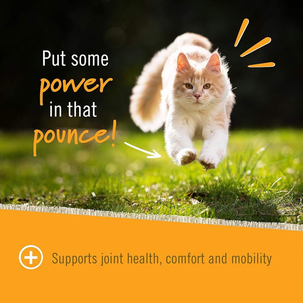 Pet Naturals Hip et Joint formulation vétérinaire, qualité américaine.