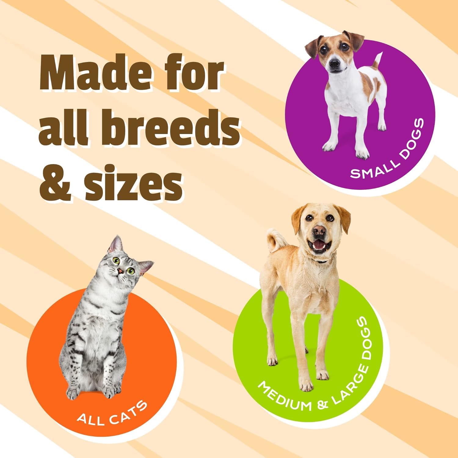 Pet Naturals Hip + Joint – gommes au canard, saveur attrayante pour chiens et chats.