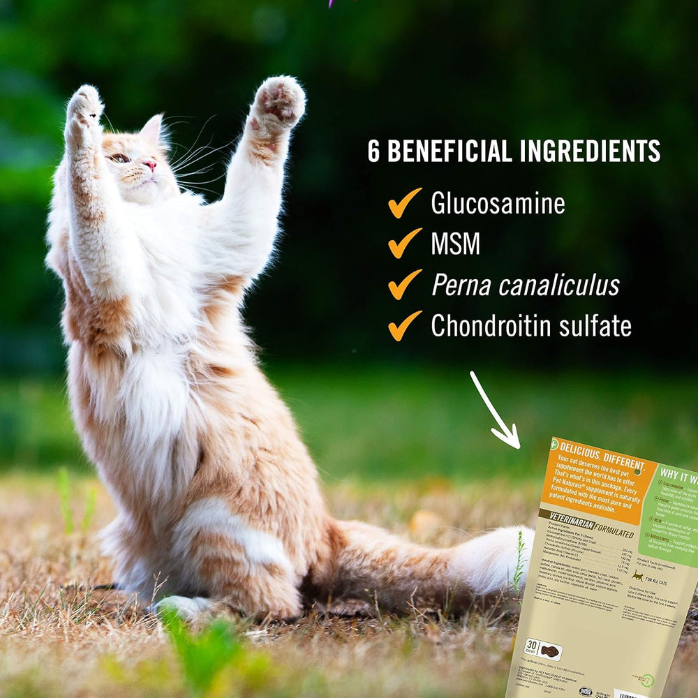 Pet Naturals Hip et Joint sans colorants artificiels pour une friandise saine.