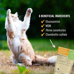 Pet Naturals Hip et Joint sans colorants artificiels pour une friandise saine.