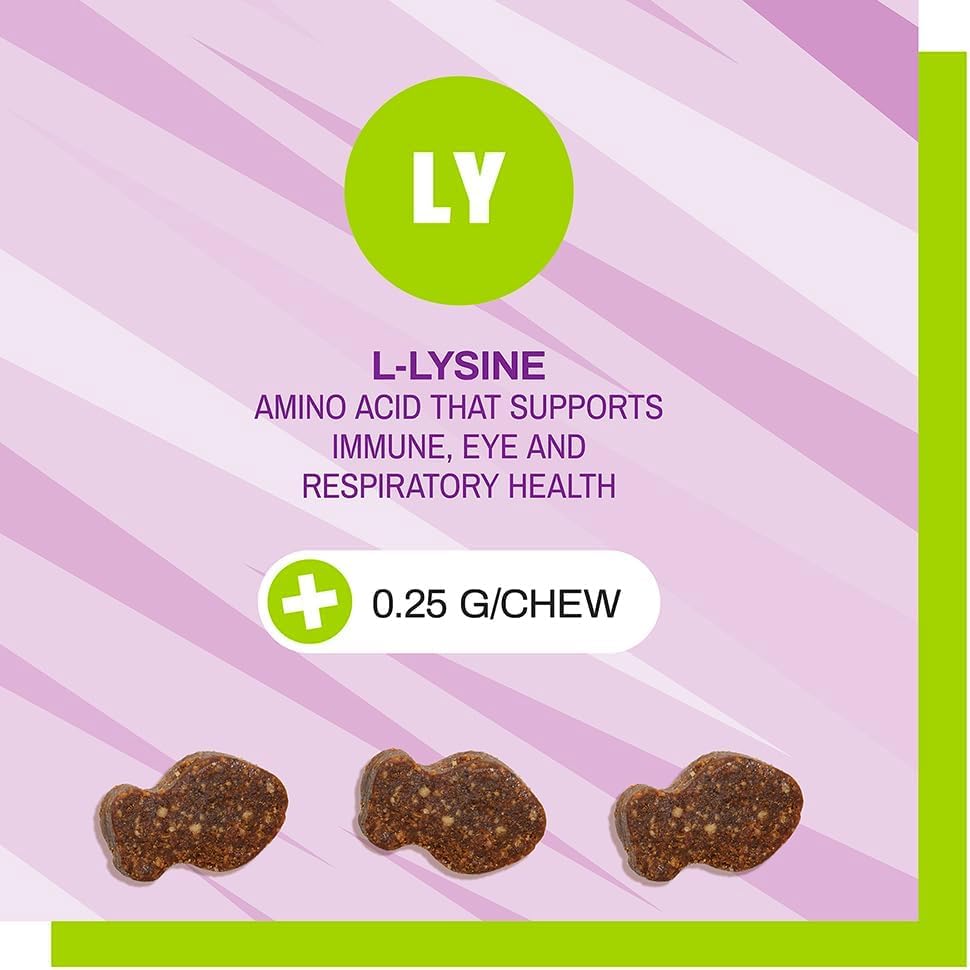 Boîte Pet Naturals Lysine prête à l’emploi dans la routine féline.