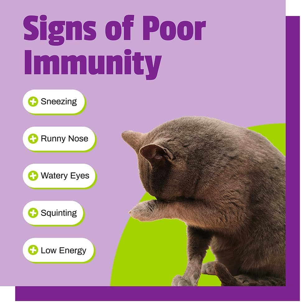 Chat apprécie la gomme Pet Naturals Lysine au poulet, soutien immunitaire possible.