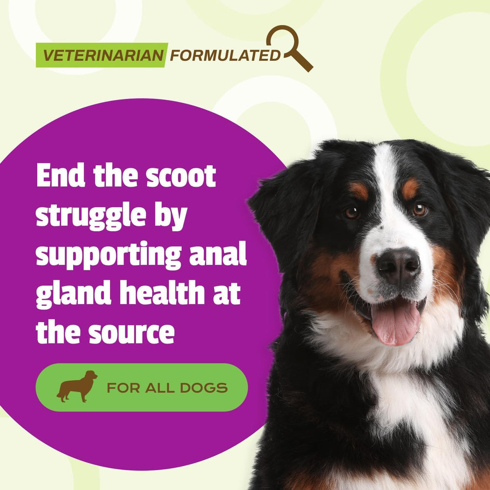 Scoot Bars Pet Naturals barre au canard, friandise savoureuse pour le système digestif.