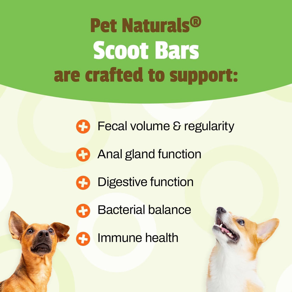 Scoot Bars Pet Naturals chien dégustant la barre, option pratique pour l’apport en fibres.