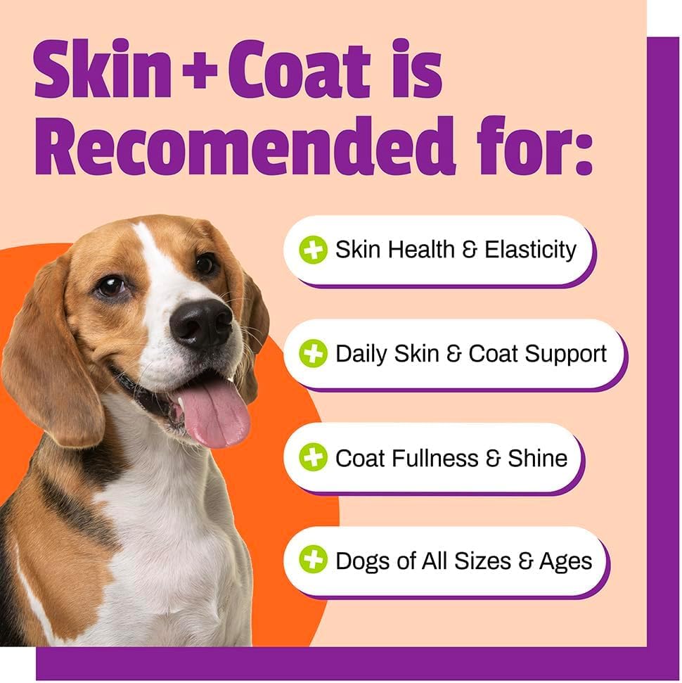 Étiquette sans blé et sans maïs, affichage clair sur la boîte Pet Naturals.