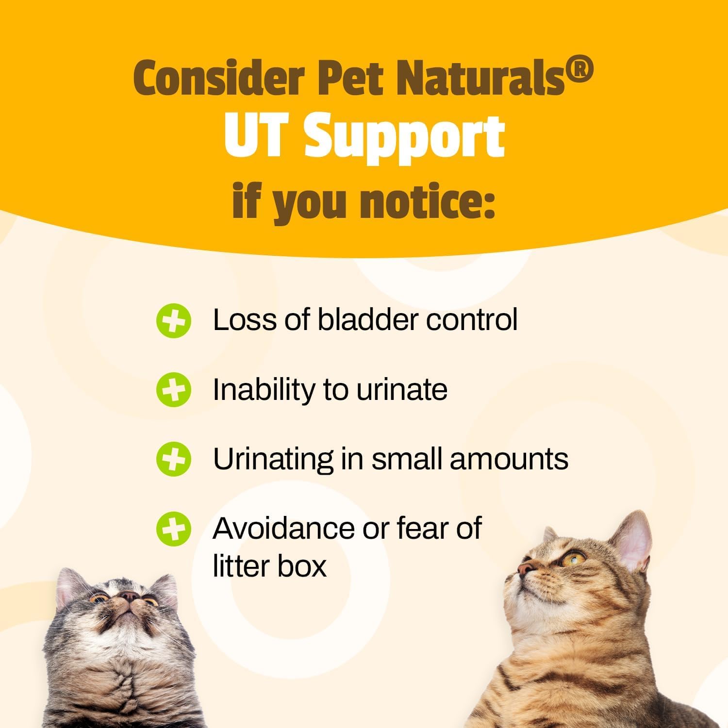 Pet Naturals UT Support, formule avec canneberge et D-Mannose pour le confort urinaire.