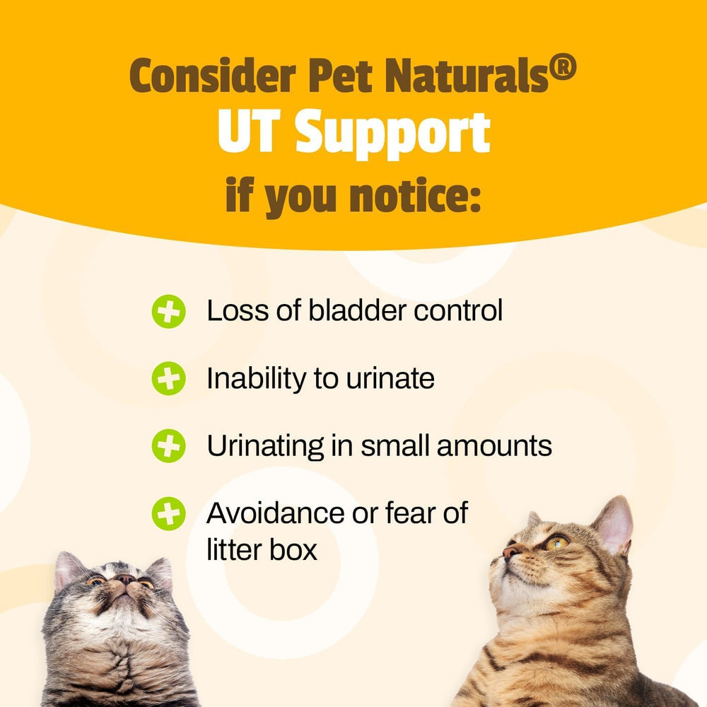 Pet Naturals UT Support, formule avec canneberge et D-Mannose pour le confort urinaire.