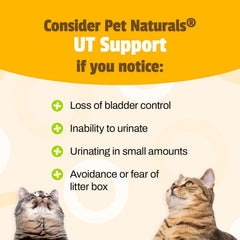 Pet Naturals UT Support, formule avec canneberge et D-Mannose pour le confort urinaire.