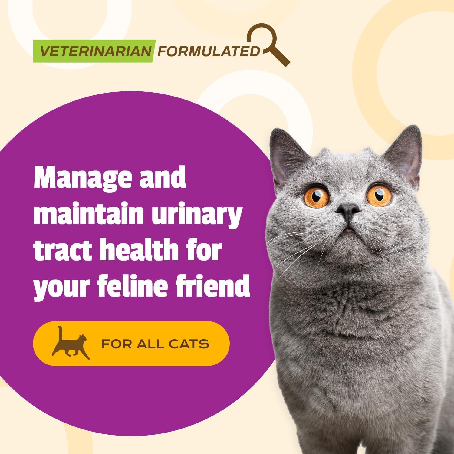 Pet Naturals UT Support, bouchées, aide à maintenir l'équilibre du pH urinaire.