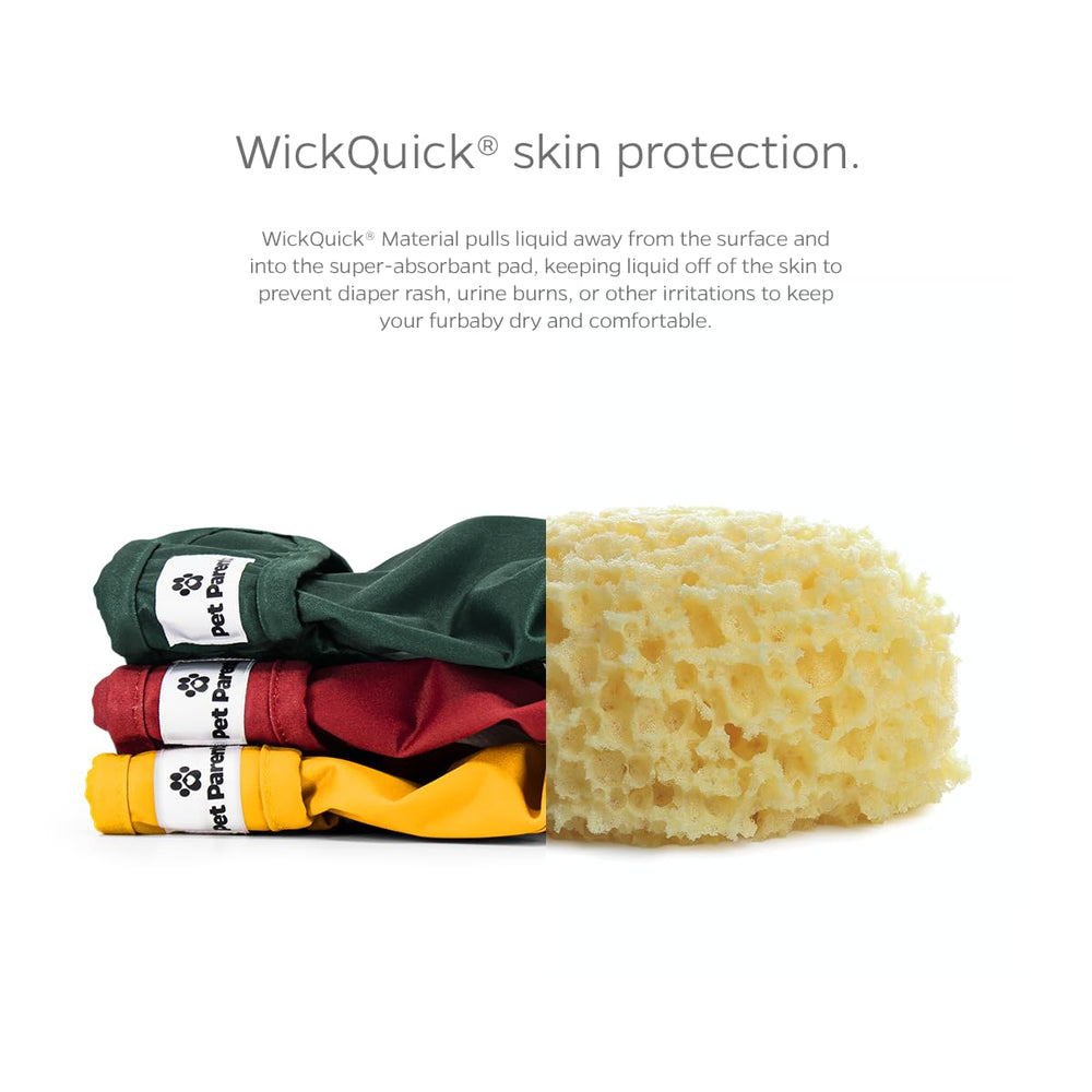 Absorbant WickQuick Pet Parents qui garde le chien au sec.