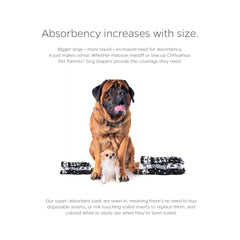 Couches Pet Parents, absorption élevée pour plus de propreté.