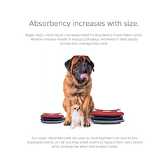 Absorbant intérieur des bandes Pet Parents – chien au sec plus longtemps