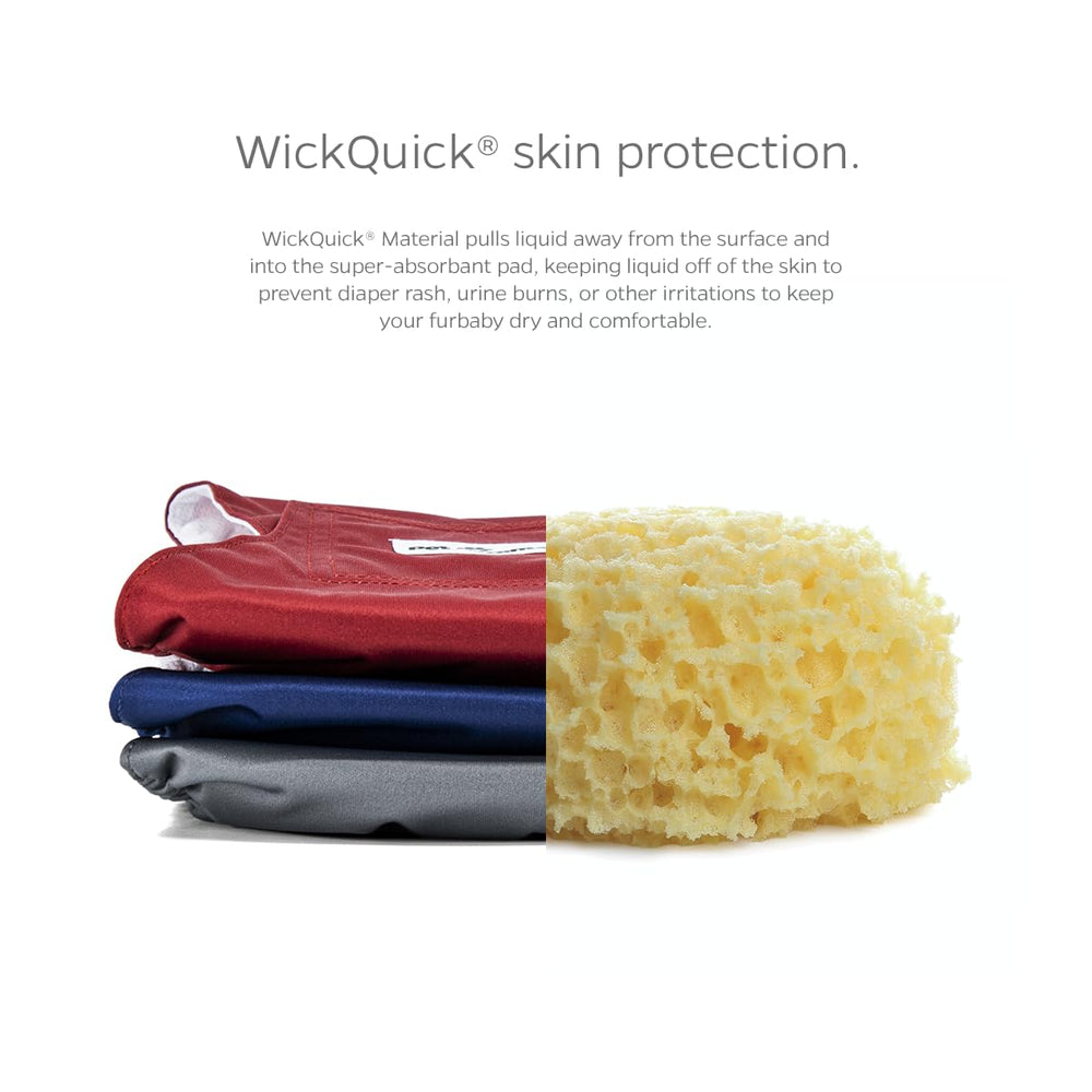 Fermetures velcro faciles sur Bandes Pet Parents pour un réglage rapide
