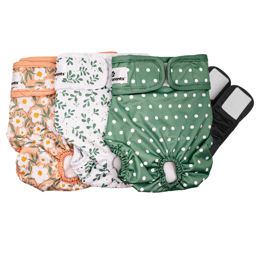 Pet Parents Daisy couches lavables pour chien petite, ensemble 3 pièces, protection contre les fuites.