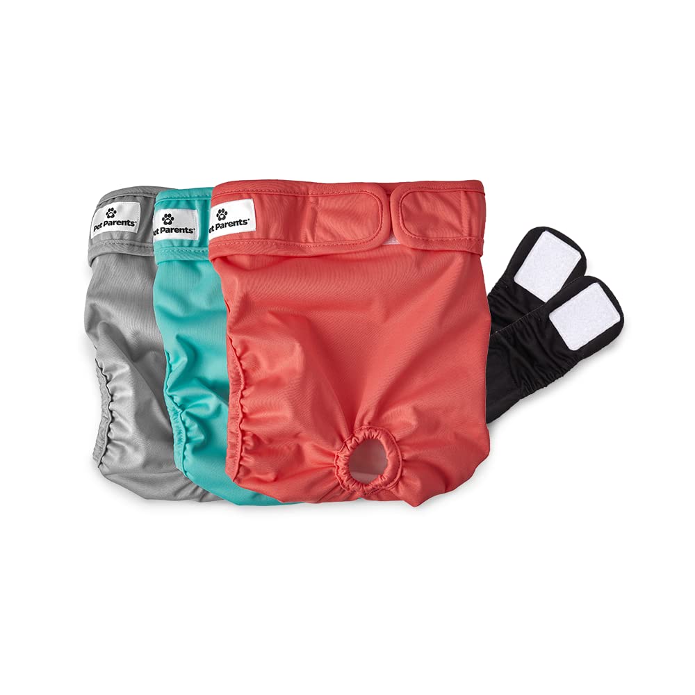 Couches lavables Pet Parents pour chien, pack de 3, confort durable et pratique.