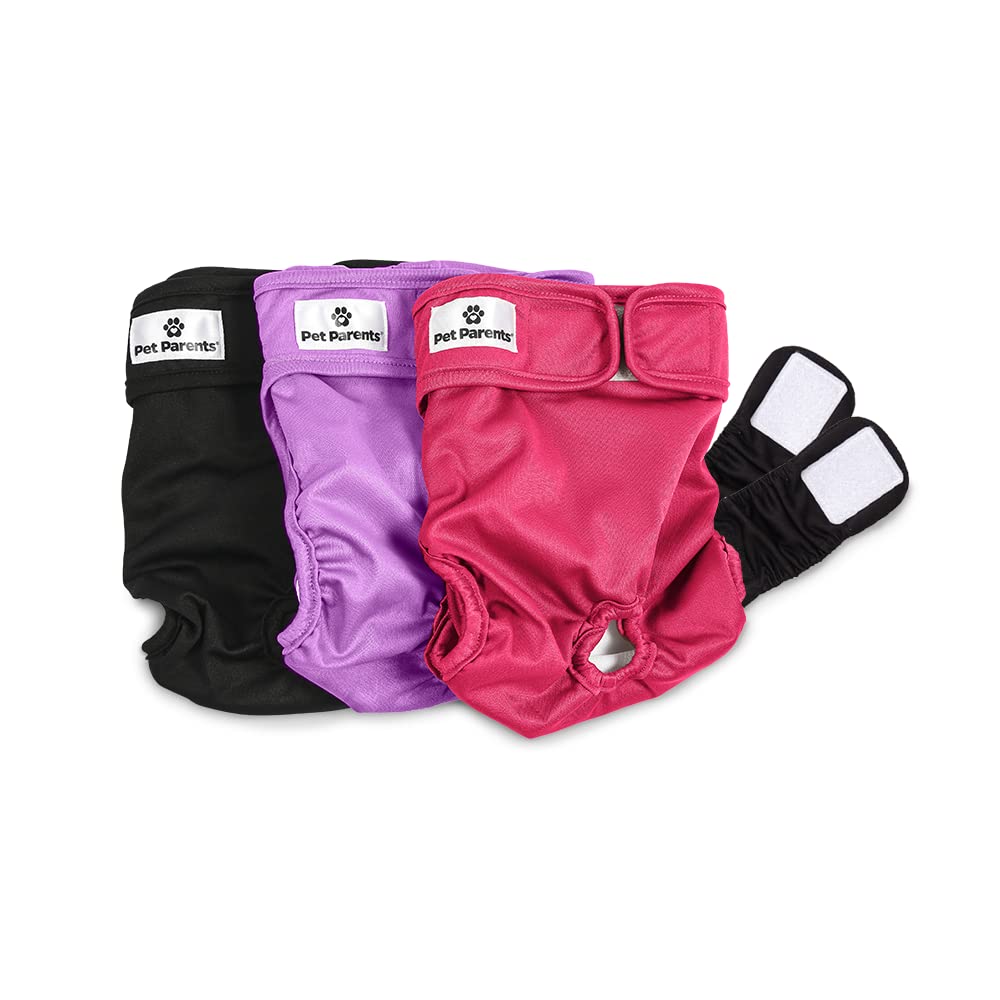 Couches lavables Pet Parents, ensemble trois packs, pratique et économique.