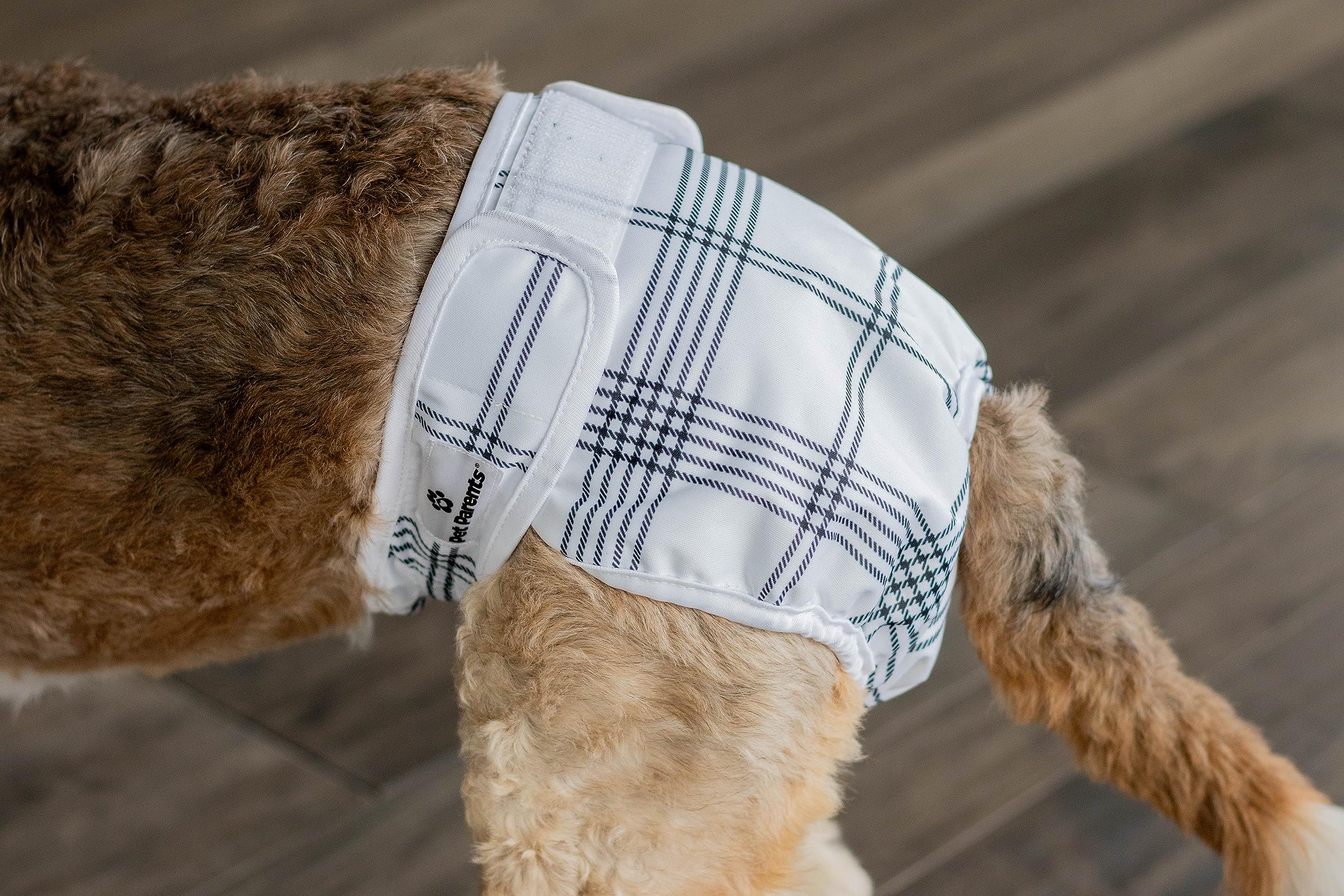 Confort doux et design Pet Parents pour chiens.