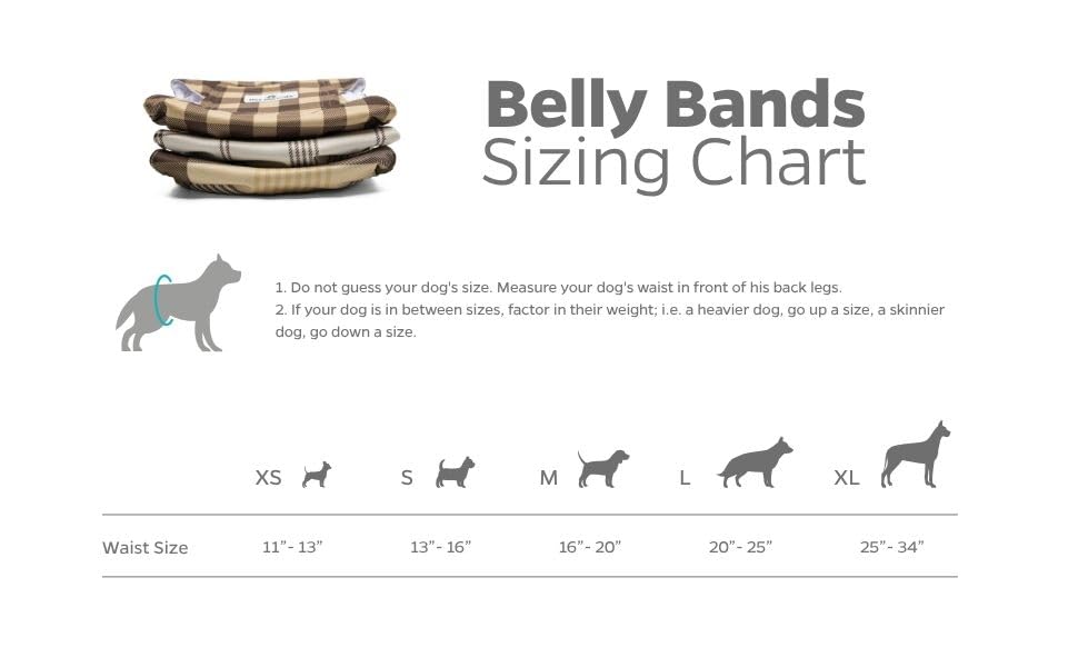 Extendrs Pet Parents s adaptent à la morphologie du chien pour un maintien.