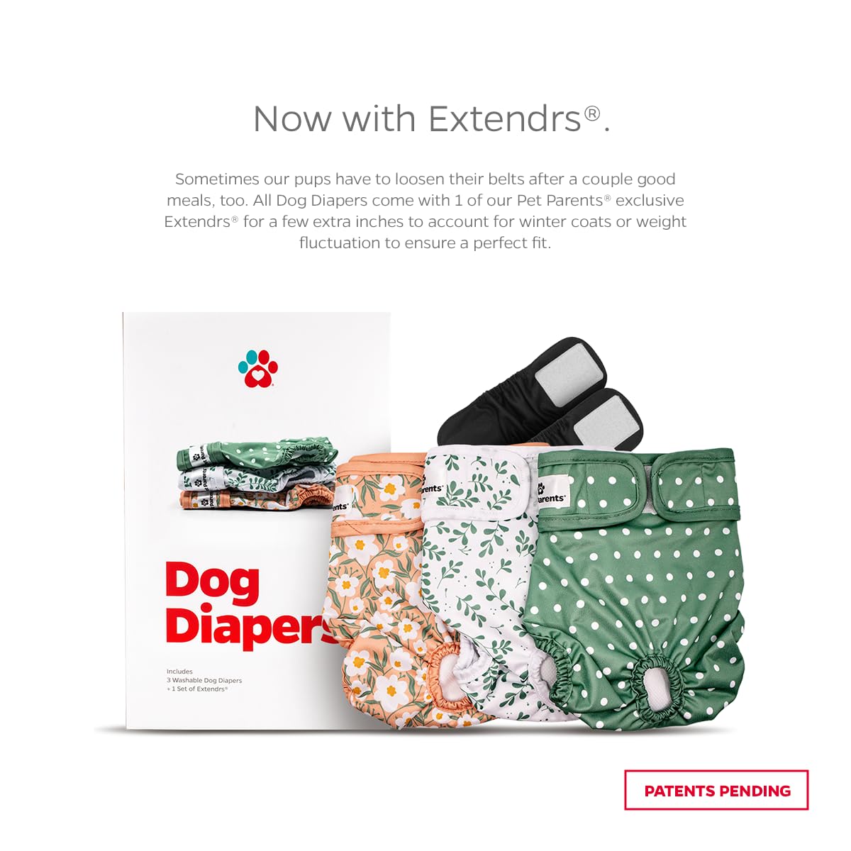Fermetures velcro Pet Parents Daisy assurant une mise en place douce.