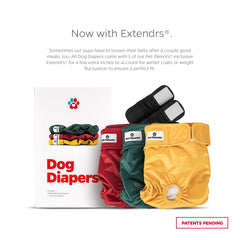 Fermetures Velcro Pet Parents pour un ajustement sûr et sans irritation.
