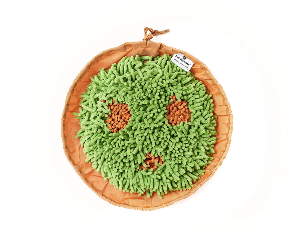 Pet Parents Forager bol lent alimentation Meadow Natural avec surface absorbante.