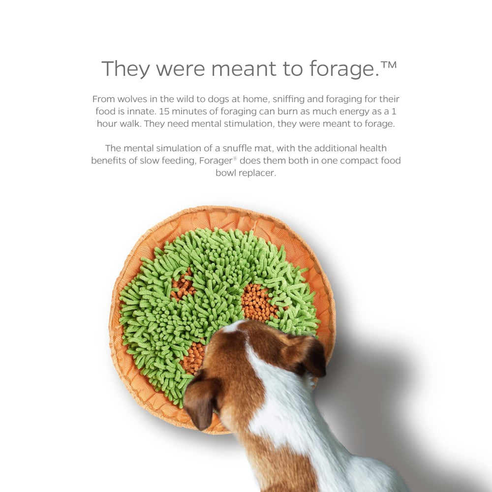 Pet Parents Forager tapis olfactif Meadow Natural encourage le reniflement et l'exploration.