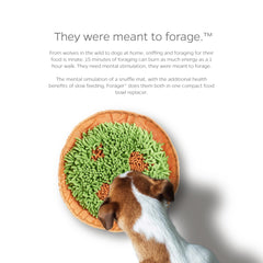 Pet Parents Forager tapis olfactif Meadow Natural encourage le reniflement et l'exploration.