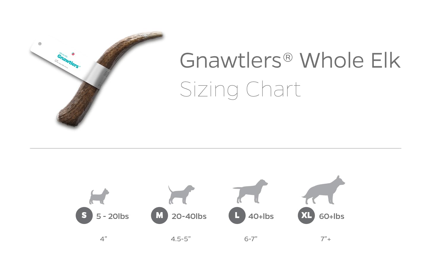 Gnawtlers Pet Parents – peut soutenir l’hygiène dentaire lors de la mastication