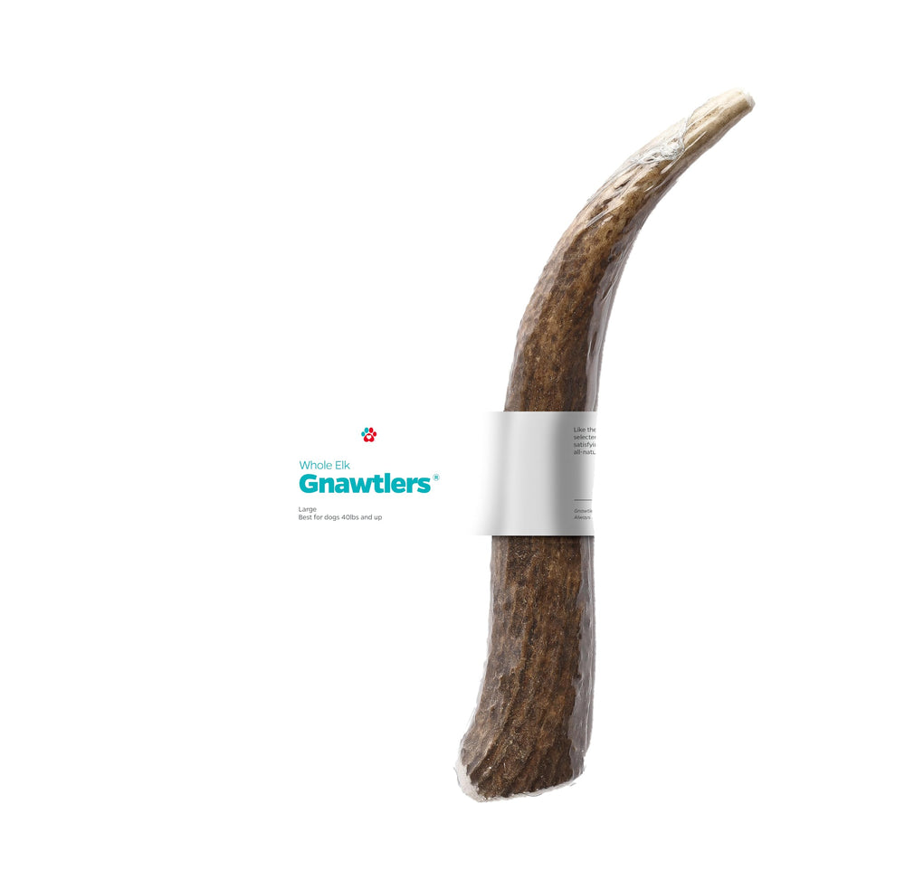 Gnawtlers Pet Parents – cornes d’élan grande taille pour chiens actifs