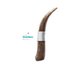 Gnawtlers Pet Parents – cornes d’élan grande taille pour chiens actifs