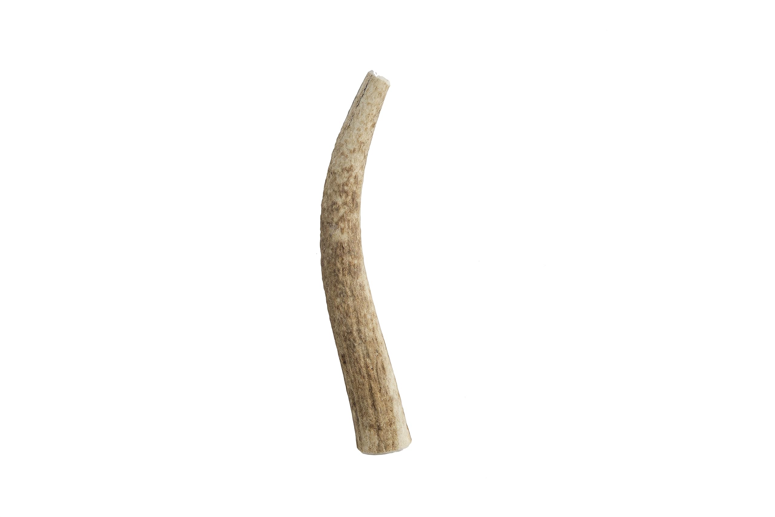 Pet Parents Gnawtlers – corne d’élan naturelle, divertissement durable pour chien.