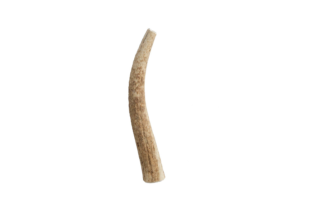 Pet Parents Gnawtlers – corne d’élan naturelle, divertissement durable pour chien.
