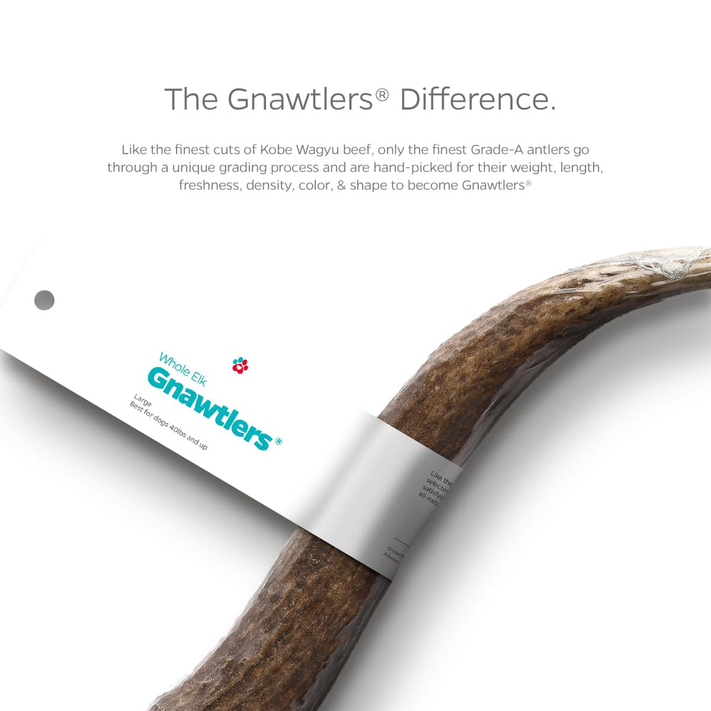 Gnawtlers Pet Parents – longueur 6-7 pouces adaptée aux grands chiens