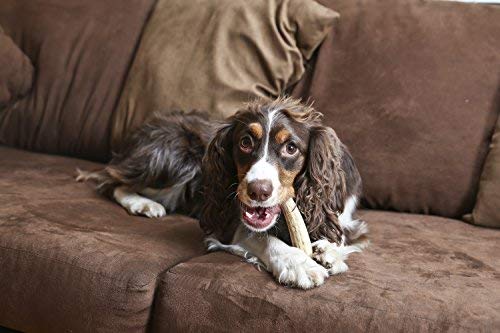 Qualité et sécurité Pet Parents: os d’élan moyen soigneusement sélectionné.