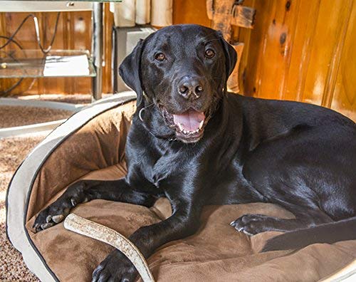 Pet Parents Gnawtlers – texture robuste pour une expérience tactile satisfaisante.