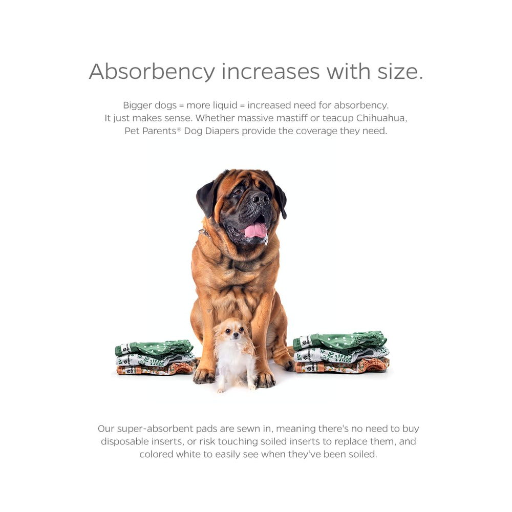 Pet Parents Daisy matelas absorbant WickQuick garde votre chien sec.